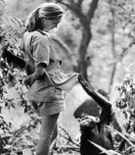 Photo of Jane Goodall with a chimp